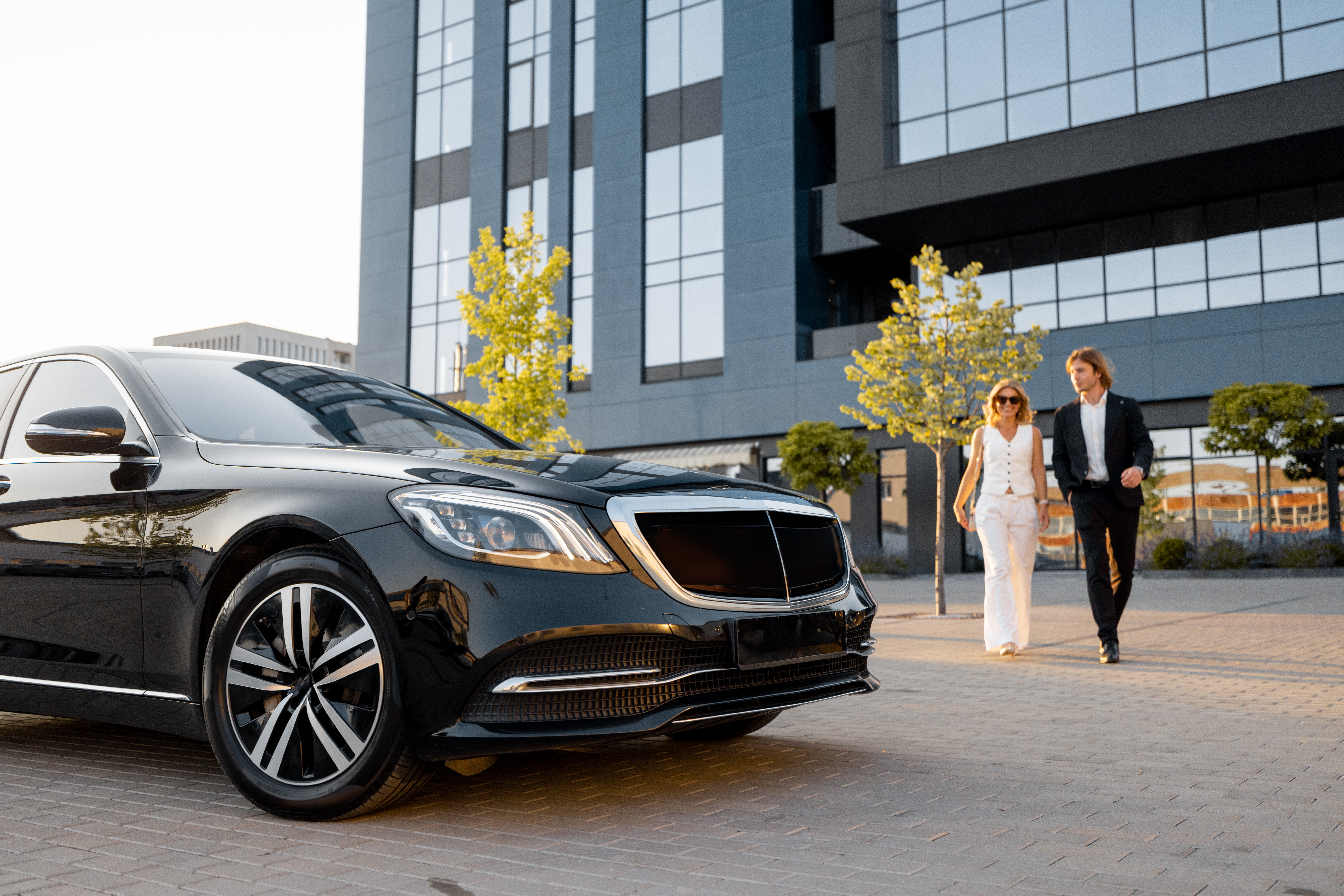 Professional Chauffeur Opening Door